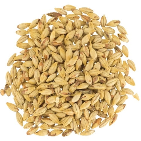 Biscuit Malt 17L for Brewing Specialty Malted Barley for Beer Making, Home Brewing & Toasted Grain Character 5 lb Whole Grain
