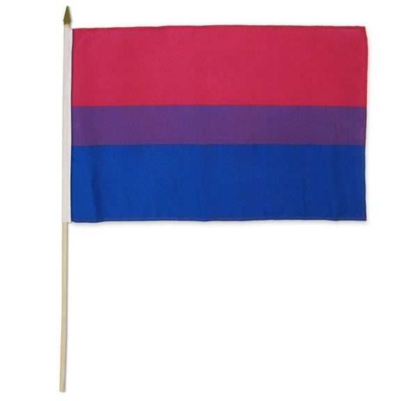 Bisexual 12x18in Stick Flag