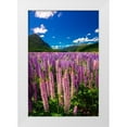 thumbnail image 1 of Bishop, Russ 11x14 White Modern Wood Framed Museum Art Print Titled - Spring lupine in Eglinton Valley-Fiordland National Park-South Island-New Zealand, 1 of 4