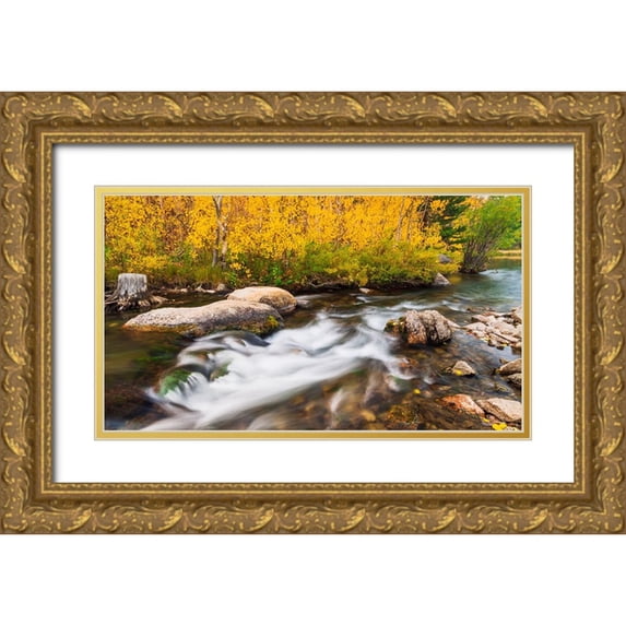 Bishop, Russ 14x10 Gold Ornate Wood Framed with Double Matting Museum Art Print Titled - Fall color along Bishop Creek-Inyo National Forest-California-USA