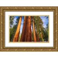 thumbnail image 1 of Bishop, Russ 14x11 Gold Ornate Wood Framed with Double Matting Museum Art Print Titled - Giant Sequoia in the Mariposa Grove-Yosemite National Park-California-USA, 1 of 4