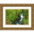 thumbnail image 1 of Bishop, Russ 14x11 Gold Ornate Wood Framed with Double Matting Museum Art Print Titled - The Chasm-Fiordland National Park-South Island-New Zealand, 1 of 4