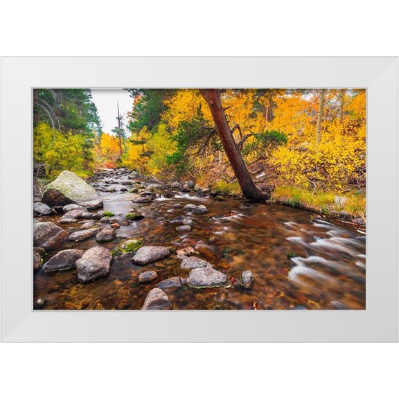 Bishop, Russ 14x11 White Modern Wood Framed Museum Art Print Titled - Fall color along Bishop Creek-Inyo National Forest-California-USA