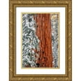 thumbnail image 1 of Bishop, Russ 17x24 Gold Ornate Wood Framed with Double Matting Museum Art Print Titled - Giant Sequoia in the Congress Grove in winter-Giant Forest-Sequoia National Park-California-USA, 1 of 4