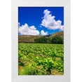 thumbnail image 1 of Bishop, Russ 17x24 White Modern Wood Framed Museum Art Print Titled - Wine grapes at Rippon Vineyard on the shore of Lake Wanaka-Otago-South Island-New Zealand, 1 of 4