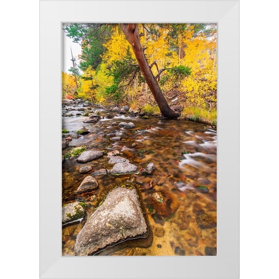 Bishop, Russ 23x32 White Modern Wood Framed Museum Art Print Titled - Fall color along Bishop Creek-Inyo National Forest-California-USA