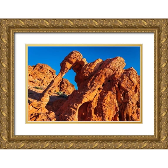 Bishop, Russ 24x17 Gold Ornate Wood Framed with Double Matting Museum Art Print Titled - Morning light on Elephant Rock-Valley of Fire State Park-Nevada-USA