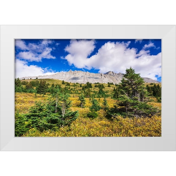 Bishop, Russ 24x17 White Modern Wood Framed Museum Art Print Titled - Nigel Peak from Wilcox Ridge-Columbia Icefields-Jasper National Park-Alberta-Canada