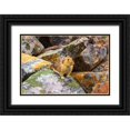 thumbnail image 1 of Bishop, Russ 32x23 Black Ornate Wood Framed with Double Matting Museum Art Print Titled - American Pika-Ochotona princeps-Jasper National Park-Alberta-Canada, 1 of 4