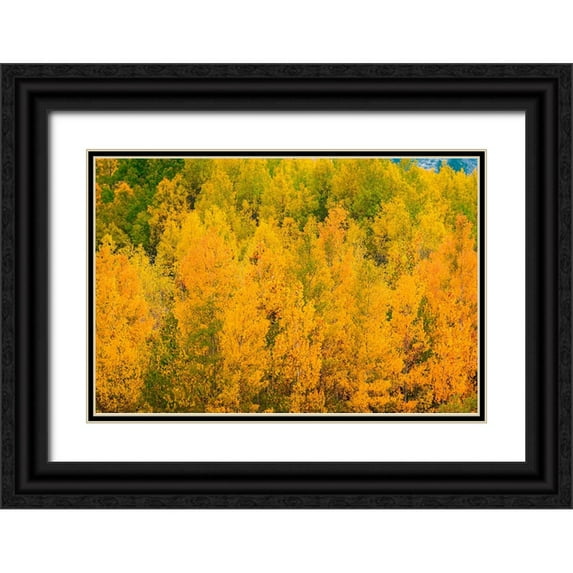 Bishop, Russ 32x23 Black Ornate Wood Framed with Double Matting Museum Art Print Titled - Fall color along Bishop Creek-Inyo National Forest-California-USA