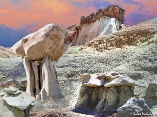Bisiti Wilderness Canvas Art - Robert Michaels (19 x 15)
