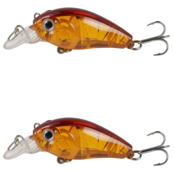 Bisitoy 2Pcs Drop Shot Fishing Lures Set with Finesse Worm for Pressured Bass