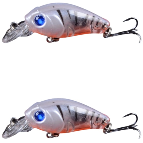 Bisitoy 2Pcs Drop Shot Fishing Lures Set with Finesse Worm for Pressured Bass