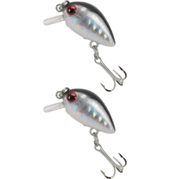 Bisitoy 2Pcs Fishing Lures Set with Weighted Head for Saltwater Redfish