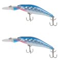 thumbnail image 1 of Bisitoy 2Pcs Floating Fishing Lures Set with Weedless Hook for Topwater Snakehead, 1 of 4