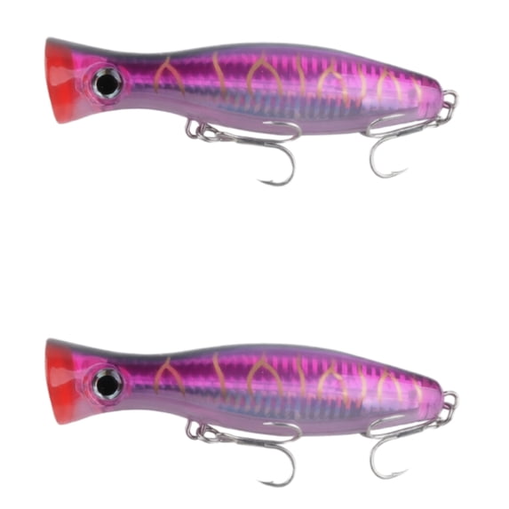 Bisitoy 2Pcs Jerkbait Fishing Lures Set with Suspending Feature for Clear Water
