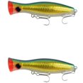 thumbnail image 1 of Bisitoy 2Pcs Jerkbait Fishing Lures Set with Suspending Feature for Clear Water, 1 of 4