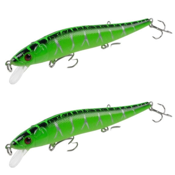 Bisitoy 2Pcs Realistic Fishing Lures Set with Sharp Hooks for Freshwater Bass Trout