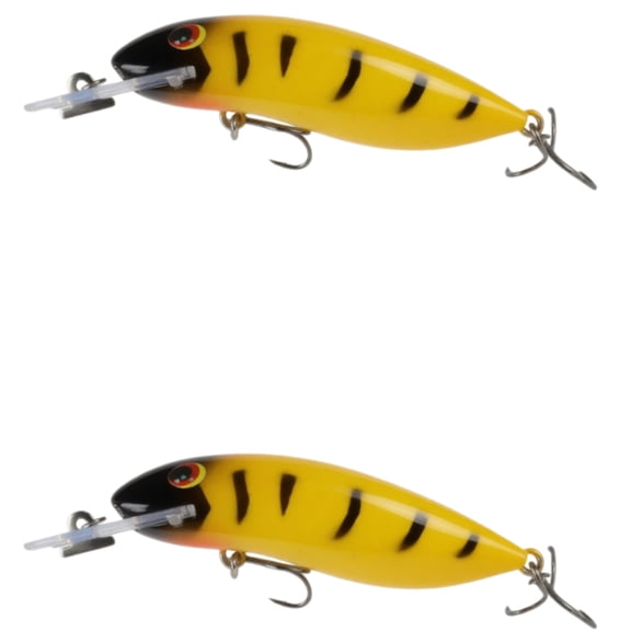 Bisitoy 2Pcs Slow Sinking Fishing Lures Set with Holographic Finish for Kokanee
