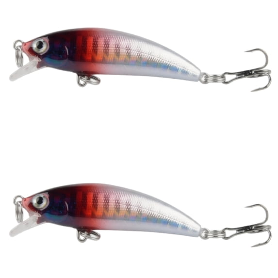 Bisitoy 2Pcs Topwater Fishing Lures Set with Walking Action for Striped Bass