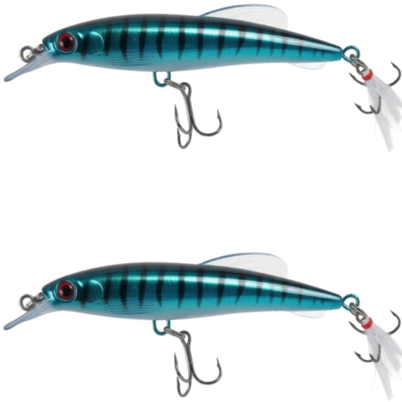 Bisitoy 2Pcs Topwater Fishing Lures Set with Walking Action for Striped Bass