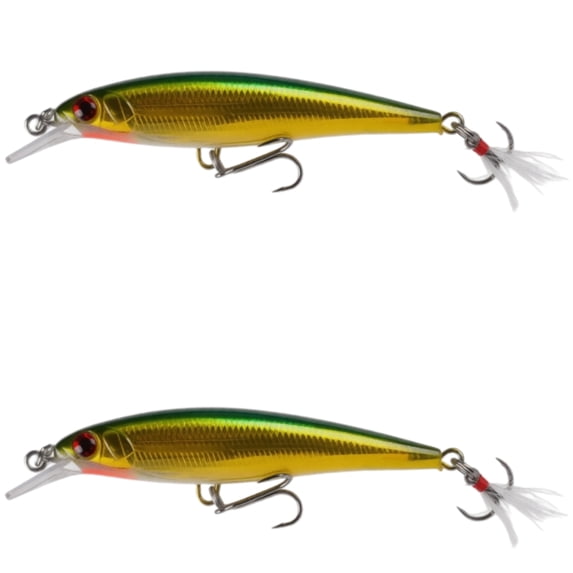 Bisitoy 2Pcs Topwater Fishing Lures Set with Walking Action for Striped Bass