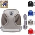 thumbnail image 1 of Bisitoy Dog Harness, Reflective Vest Style Breathable Mesh with Leash for Small Dogs Summer Walking, 1 of 3