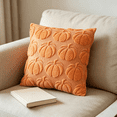 thumbnail image 1 of Bisitoy Pillow Covers 1Pc Throw Pillow Covers 18x18 Plush Pumpkin Halloween Fall Decor for Couch Sofa Living Room (Khaki), 1 of 4