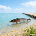 thumbnail image 1 of Bisitoy Topwater Fishing Lures for Targeting Fish in Shallow Water, 1 of 4
