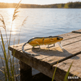 thumbnail image 1 of Bisitoy Topwater Mouse Fishing Lures, Bionic Mouse Swimbait with Jointed Body for Predator Fish, 1 of 6