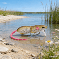 thumbnail image 1 of Bisitoy Topwater Mouse Fishing Lures, Premium Hard Bait Kit for Topwater Fishing Enthusiasts, 1 of 5
