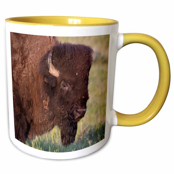 3drose, Bison Bull in Theodore Roosevelt N.p., North Dakota, Usa., 11oz Two-tone Yellow Mug