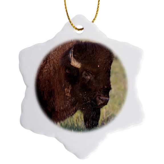 3drose, Bison Bull in Theodore Roosevelt N.p., North Dakota, Usa., 3 inch Snowflake Porcelain Ornament
