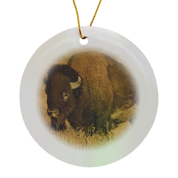3drose, Bison Bull, National Bison Range in Montana - Us27 Cha1404 - Chuck Haney, Circle Porcelain Ornament