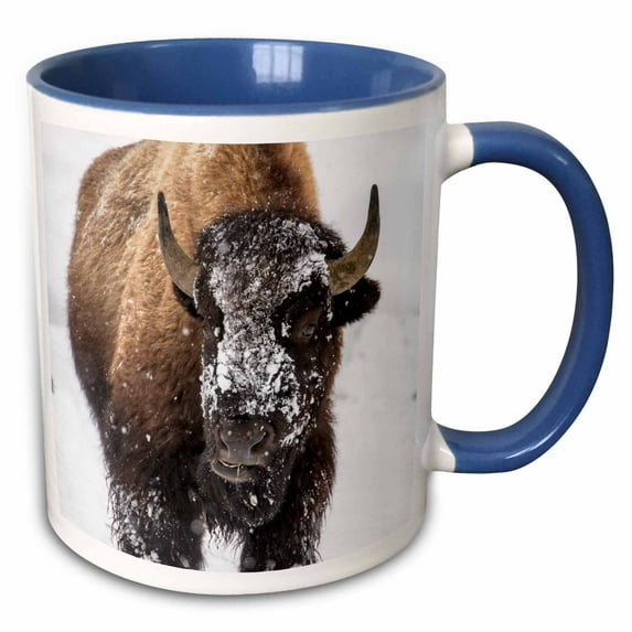 3drose, Bison Bull with Snowy Face in Yellowstone Np, Wyoming, Usa, 11oz Two-tone Blue Mug