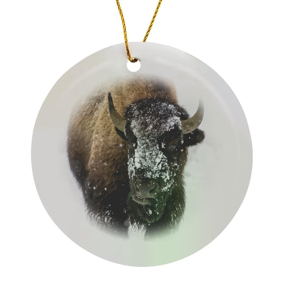 3drose, Bison Bull with Snowy Face in Yellowstone Np, Wyoming, Usa, Circle Porcelain Ornament