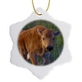 thumbnail image 1 of 3drose, Bison Calf, National Bison Range, Moiese, Montana - Us27 Cha1699 - Chuck Haney, 3 inch Snowflake Porcelain Ornament, 1 of 7