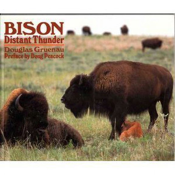Pre-Owned Bison (Paperback) 1883489075 9781883489076
