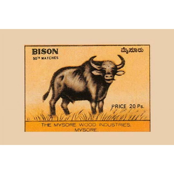Bison-Fine Art Canvas Print (20" x 30")