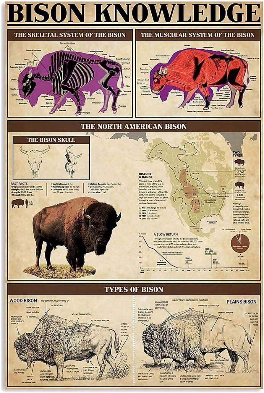 Bison Knowledge Posters Science Guide Metal Signs Retro Plaque Room ...