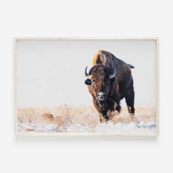 Bison Print Western Landscape Farmhouse Decor Winter Print Nature Wall Art Wildlife Photography Buffalo Print Wall Art Modern Wall Decor