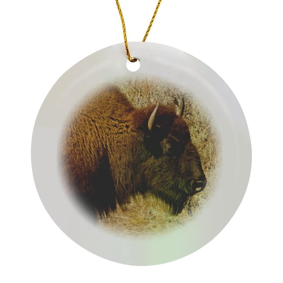 3drose, Bison Profile, Lamar Valley, Yellowstone National Park, Wyoming, Usa, Circle Porcelain Ornament