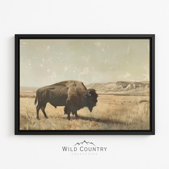 Bison Standing Golden Prairie Grass Distant Buttes Warm Tan Sky Poster