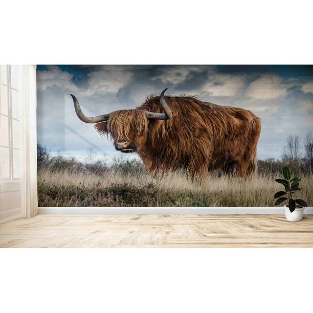 Bison Wall Art, Scottish Highland Wall Poster, 3d Wallpaper, Bull ...