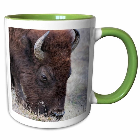 3drose, Bison, Yellowstone National Park, Montana, Wyoming, 15oz Two-tone Green Mug