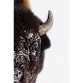 thumbnail image 1 of Bison in Winter Poster Print by Richard Wear, 22 x 34 - Large, 1 of 1