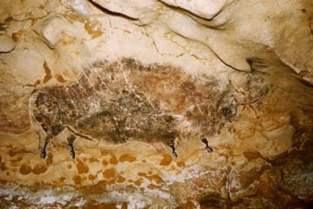 Bison with Seven Arrows Rock Painting Prehistoric Art Lascaux Caves France Canvas Art - (18 x 24)