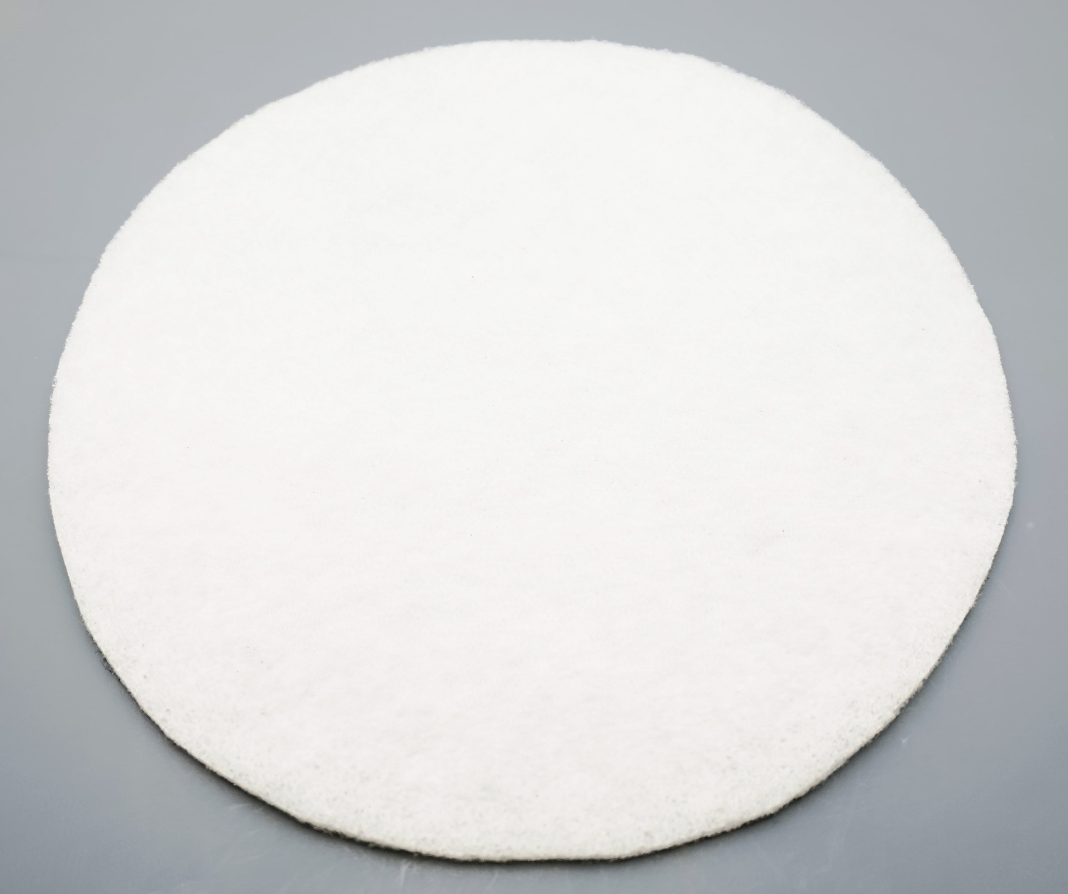 Bissell Secondary Filter for Garage Pro Wet Dry Canister Vac, 2030165