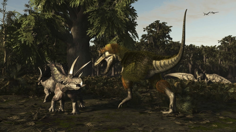 Bistahieversor attacking a pair of Pentaceratops Canvas Art - Arthur DoretyStocktrek Images (38 x 21)