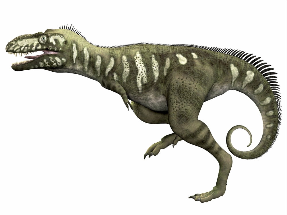 Bistahieversor dinosaur Canvas Art - Corey FordStocktrek Images (17 x 13)